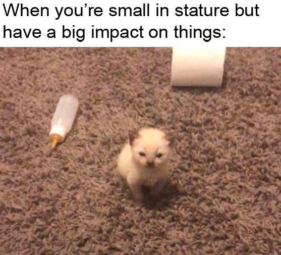 Gmx V2 Released Testnet Tokeninsight - Modern Gradient Wallpaper - Mobile