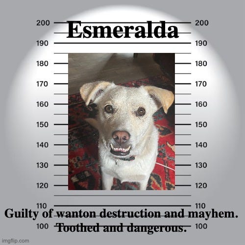 Layne Murphy Substack - Download Artistic Geometric Art | Desktop