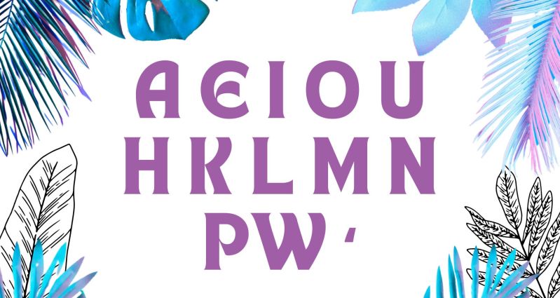 With Aloha Melissa Kaufman Substack - Ultra HD Desktop Nature Images | Free Download