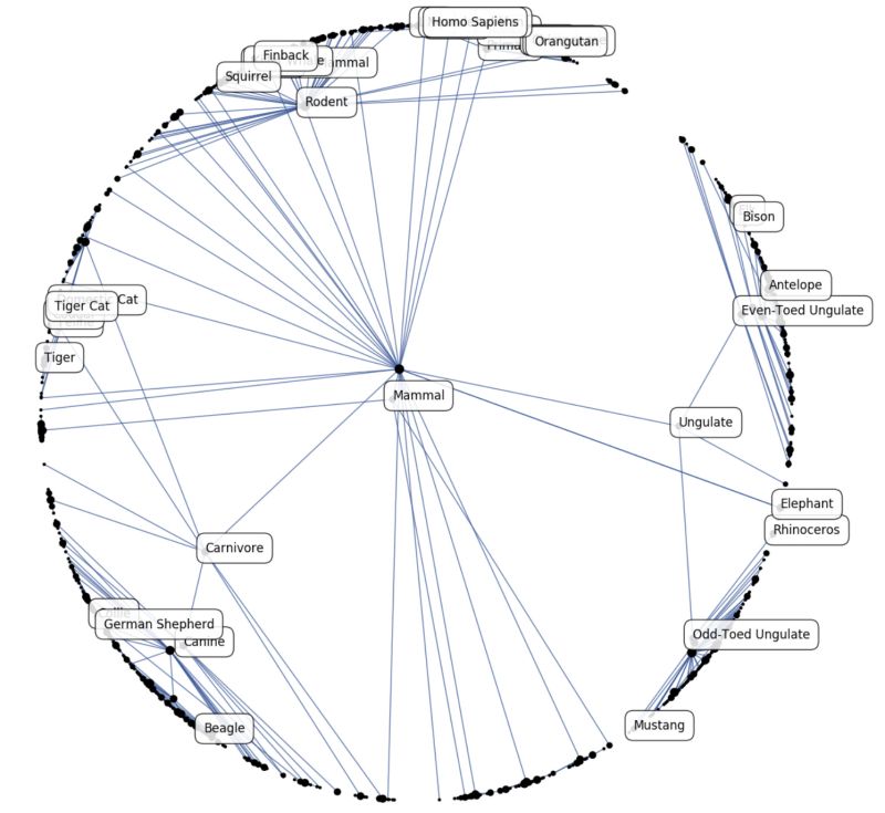 Representing Hierarchical Data With Poincar Embeddings - Amazing Ultra HD Minimal Illustrations | Free Download