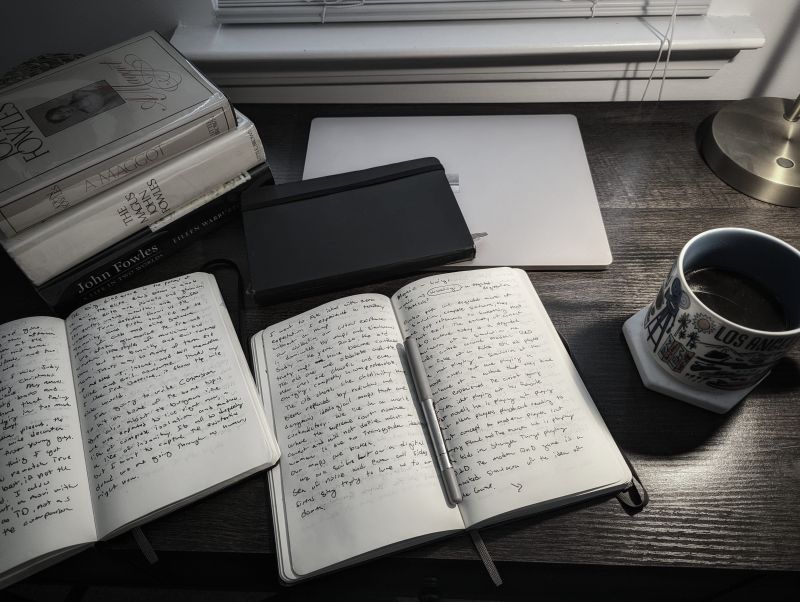 Kees Arntzen Five Insect Songs Donemus - Gorgeous Light Photo - Mobile