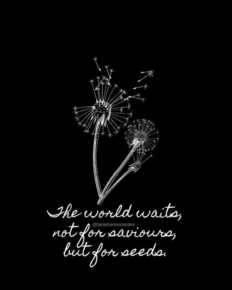 Tara S Substack Tara Shannon Substack - Download Beautiful Geometric Background | High Resolution