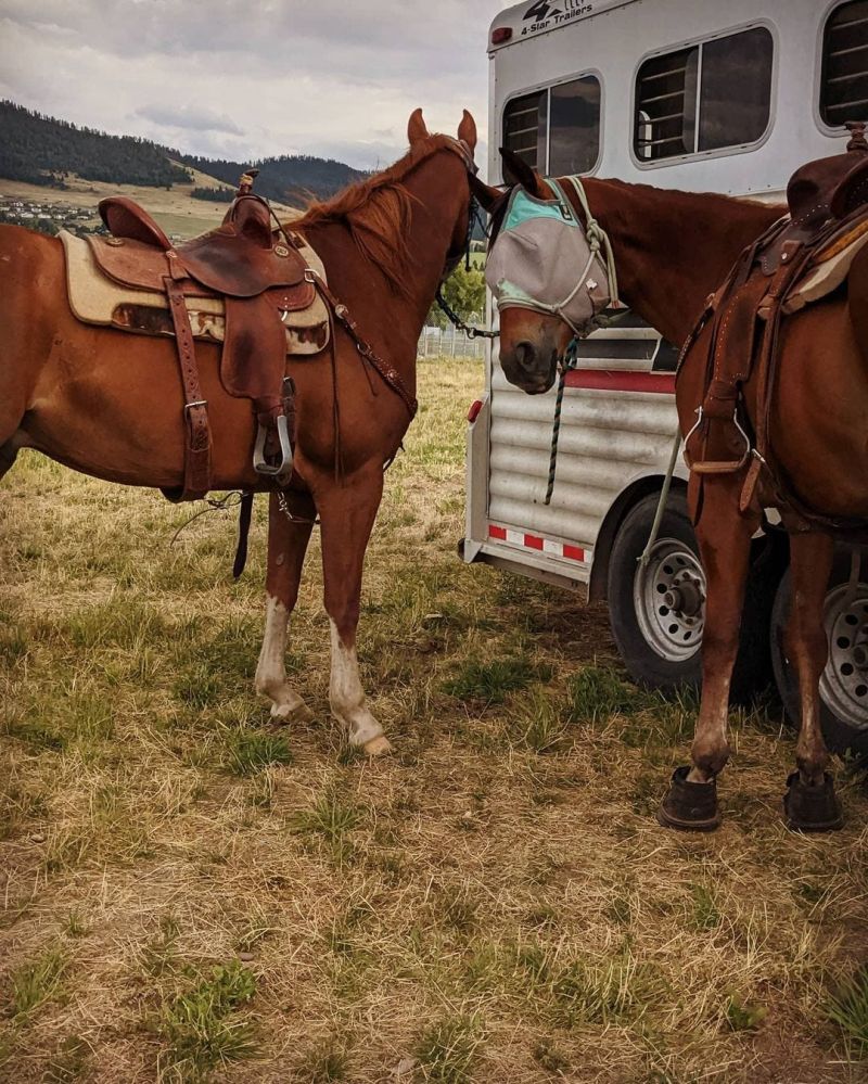 Red Hawk Essentials 47 By Tim Welch - Retina Abstract Photos for Desktop