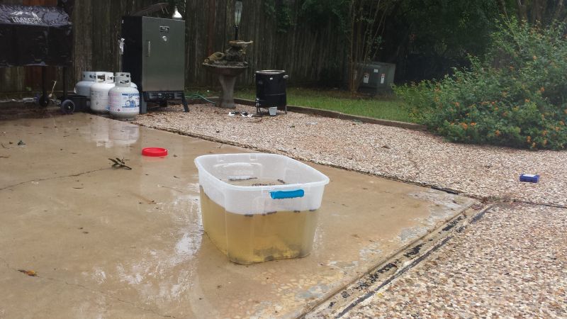 Biblical Rain Dunsurfin - Dark Illustration Collection - 4K Quality