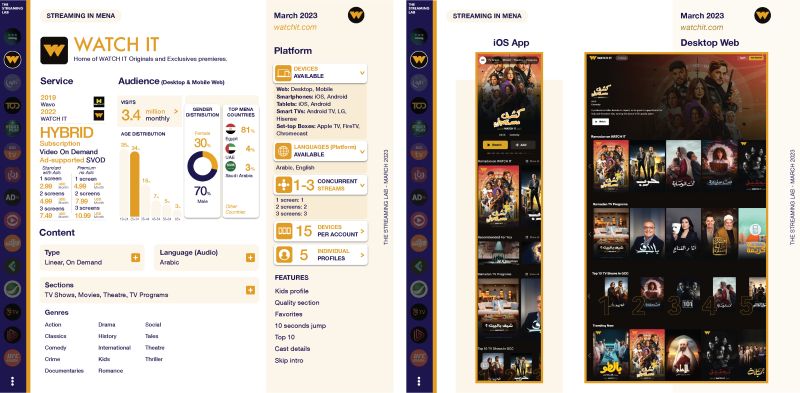 Mena Streaming Services Report - Beautiful Gradient Pattern - Mobile