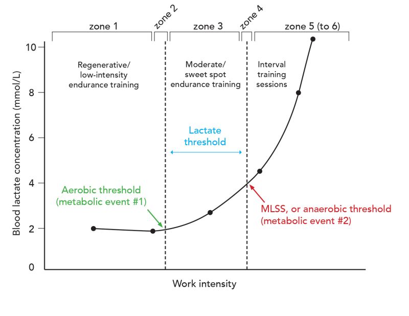 Vo2 Max Essentials Ebook - Download High Quality Space Illustration | High Resolution
