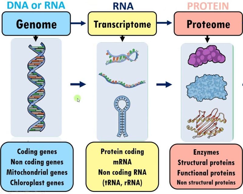 Brian Gora Conversion Omics - Abstract Background Collection - 8K Quality