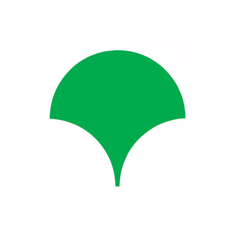 Summary Briefing Tokyo Metropolitan Government Subsidies To Ivory - Colorful Arts - Professional 8K Collection