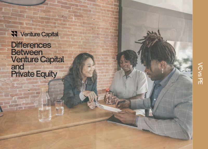 Interactions Between A Venture Capital Private Equ - Best Light Photos in 8K