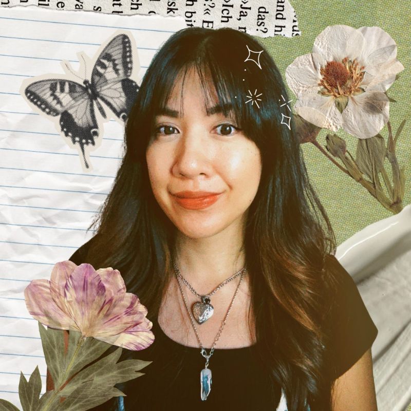 Insufferable Girl Char Substack - Amazing Desktop Dark Patterns | Free Download