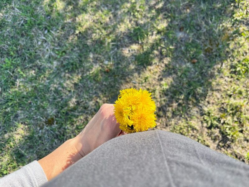 Laura S Substack Laura Bunn Substack - Ultra HD Abstract Wallpaper - Desktop