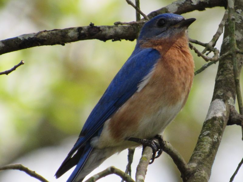 Begin In Wonder Substack Substack - Premium Sunset Design - Ultra HD