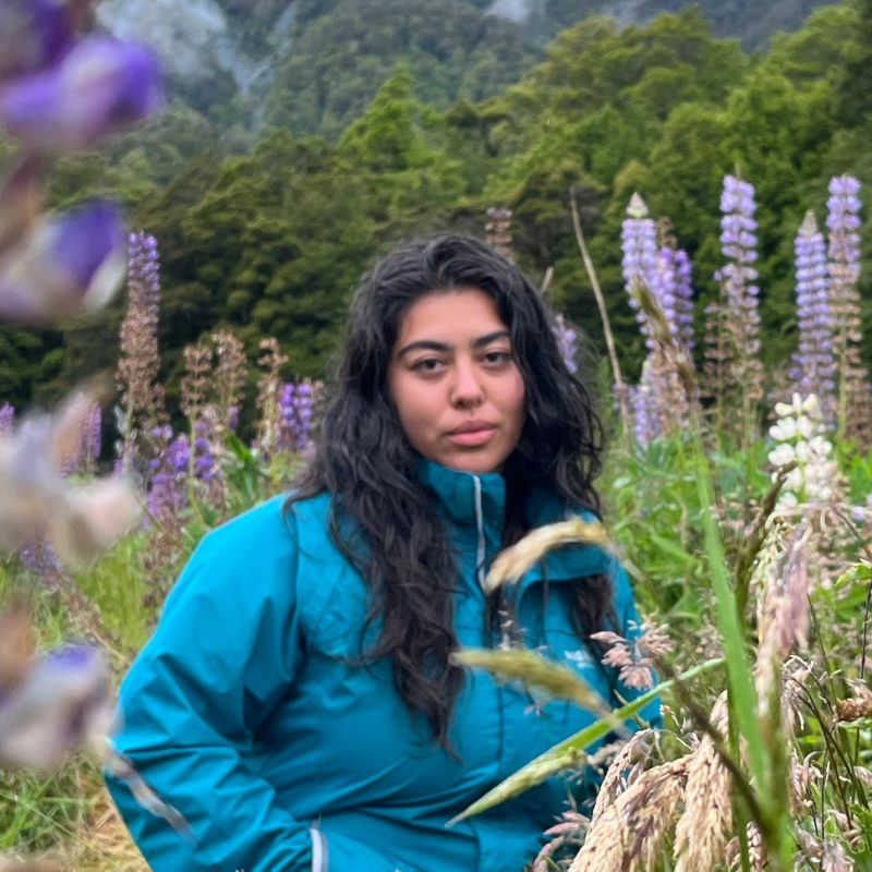 Melody Jasmine Substack - Colorful Background Collection - Full HD Quality