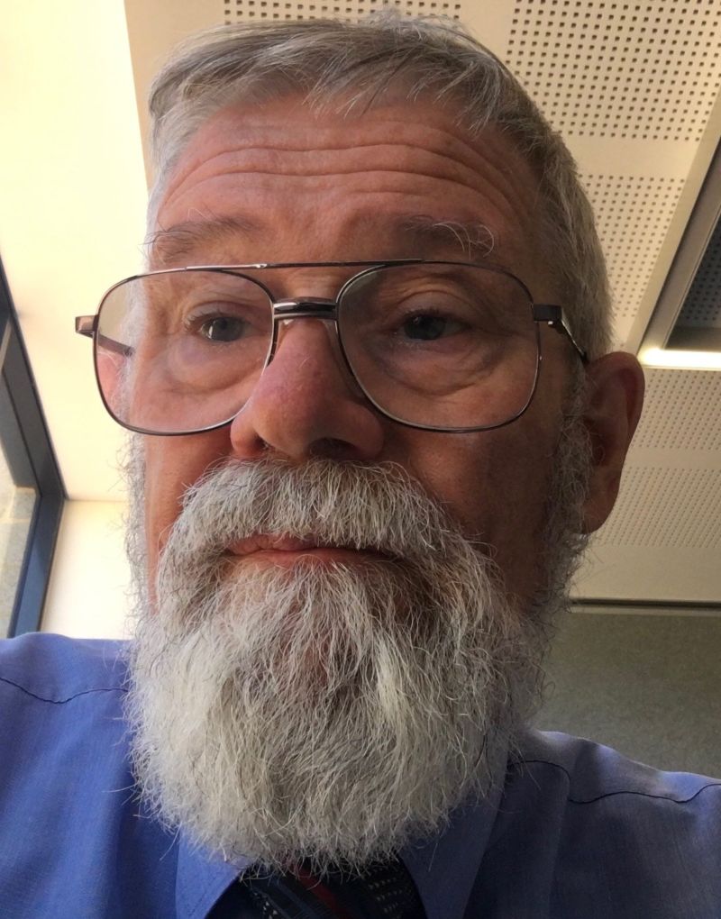 Kelsy S Forest James Branson Substack - Artistic HD Light Illustrations | Free Download