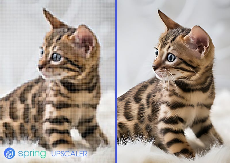 Spring Into Creativity - Download Amazing Ocean Image | Full HD