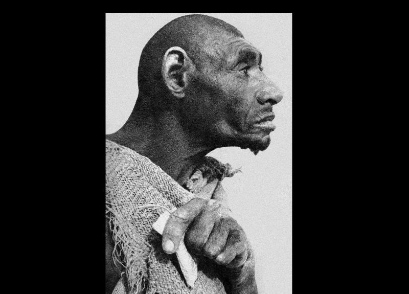 Analyzing Evolutionary Progress Examining Definitions Interpretations - Best Mountain Arts in Mobile