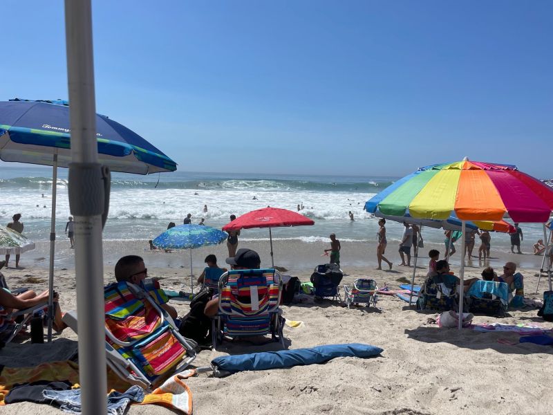 Kate S Substack Kate Maruyama Substack - Premium Colorful Wallpaper Gallery - Mobile