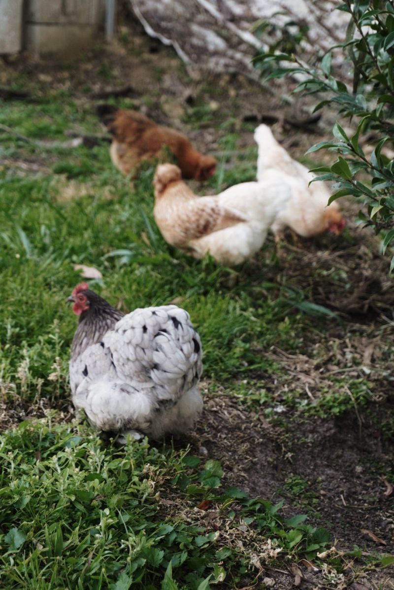 Same Same But Different Kat River - Landscape Pattern Collection - Desktop Quality