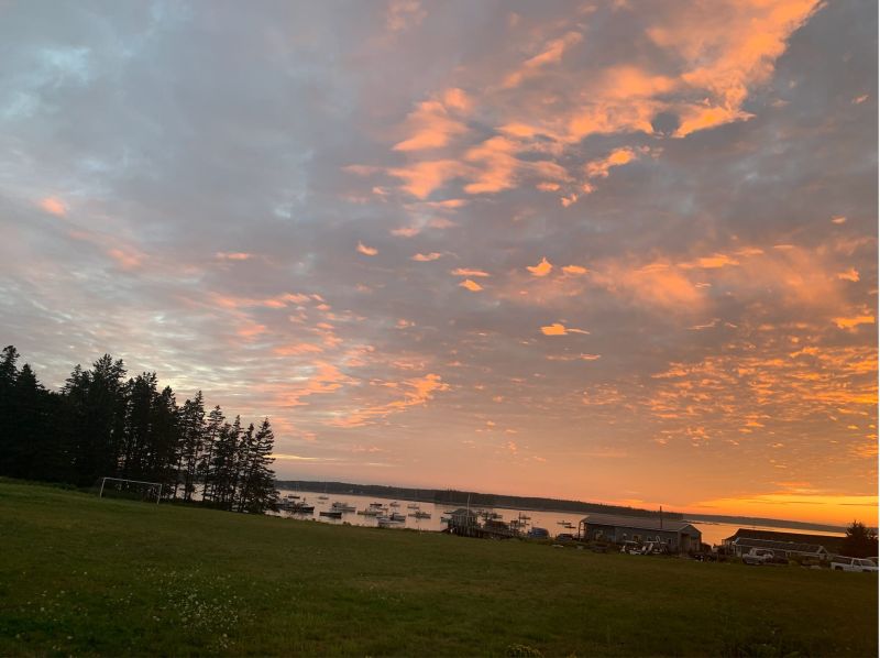 Inside Reader Martha Nichols Substack - Ocean Pictures - Professional HD Collection