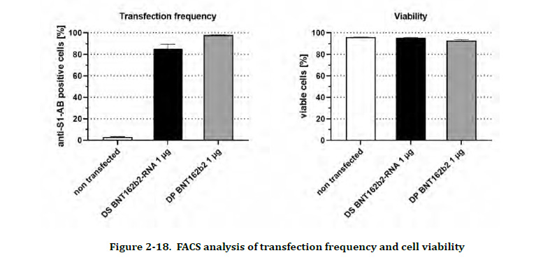 Genetically Modified Cat 2 R Speculativeevolution - Minimal Designs - Beautiful Retina Collection