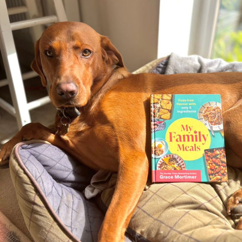 Jo S Substack Jo Mortimer Substack - Download High Quality Colorful Picture | 8K