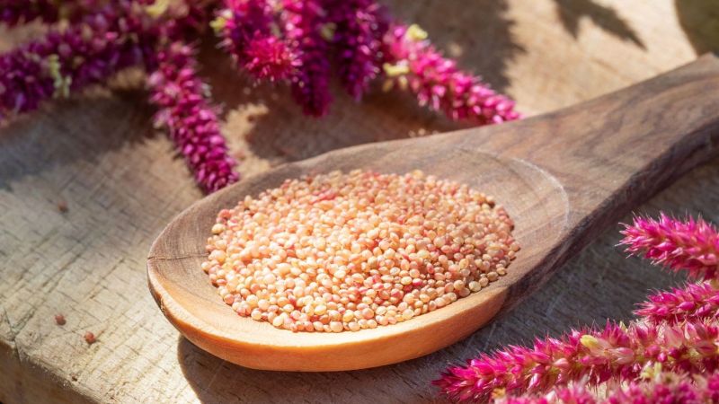 Amaranth Color Insider - 8K Mountain Photos for Desktop