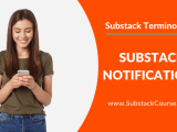 Substack Notifications
