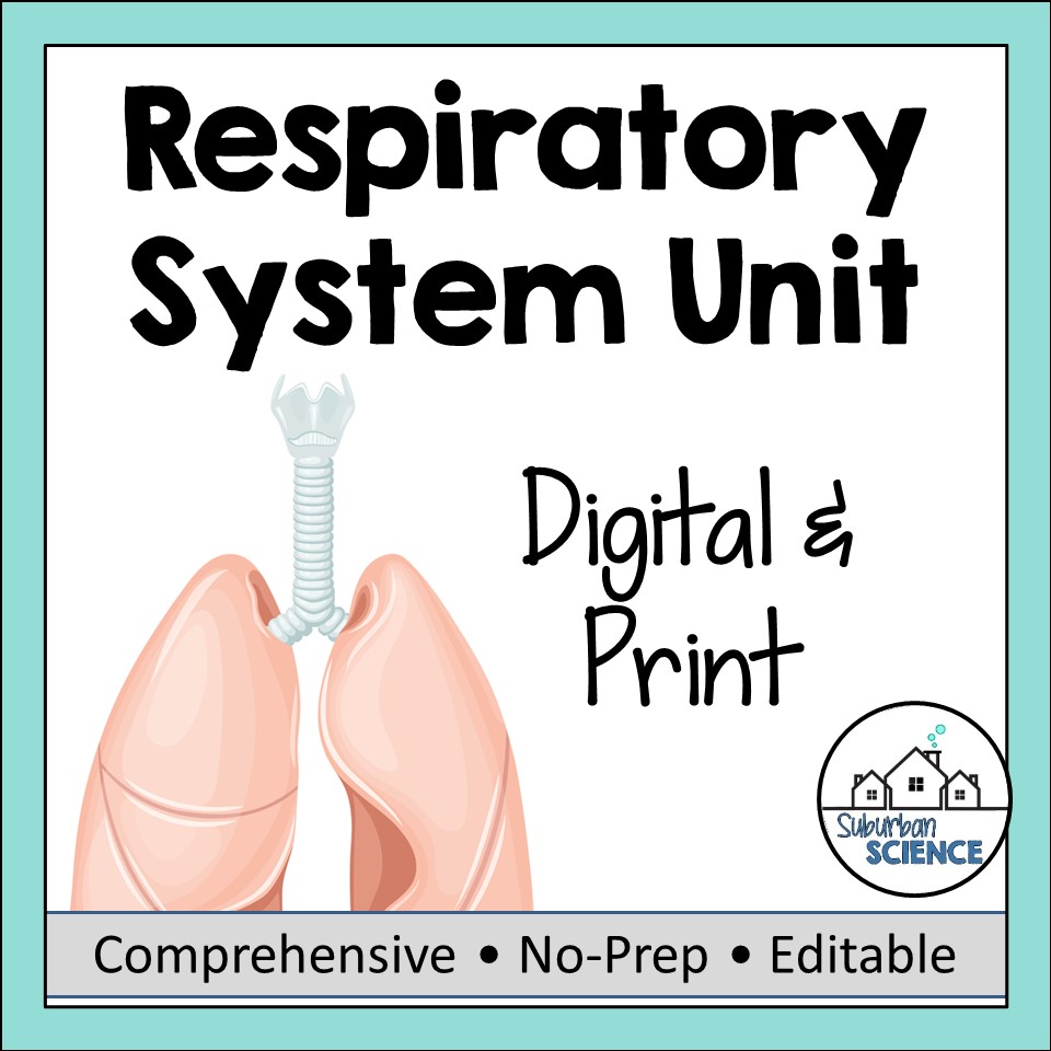 Respiratory system unit