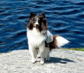 Lindsay Fraser, Nova Scotia- Consultation