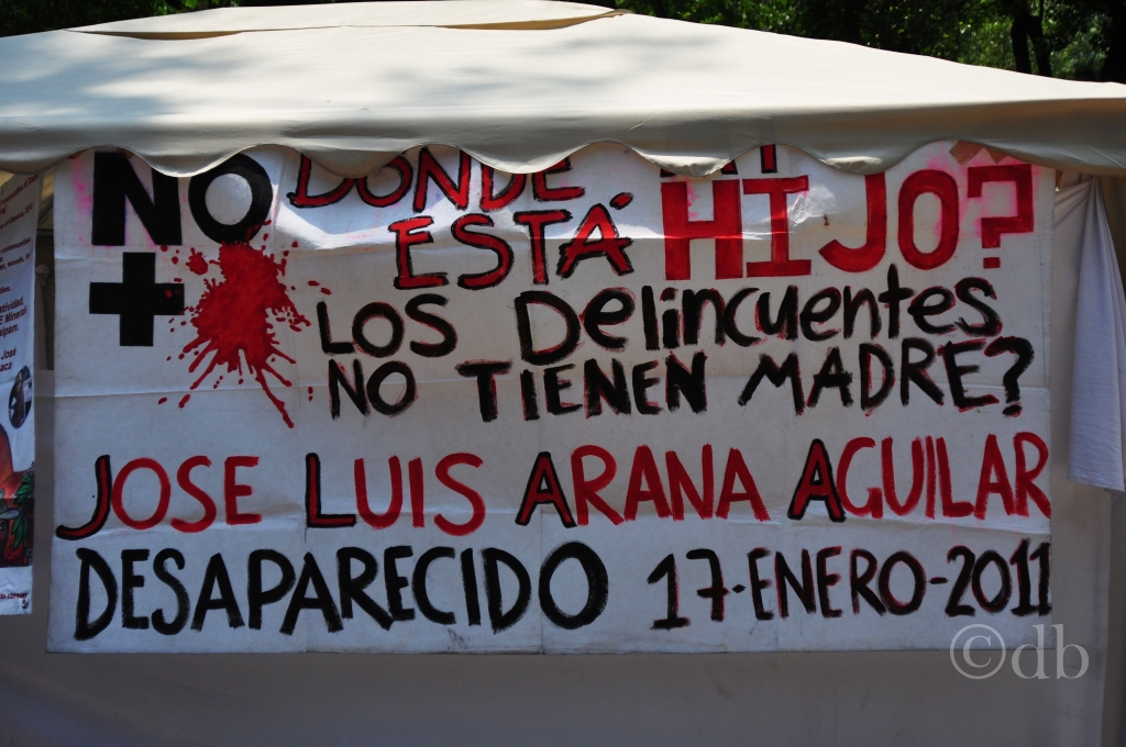 DSC_0124-1024x680