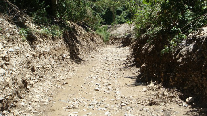 rio 8