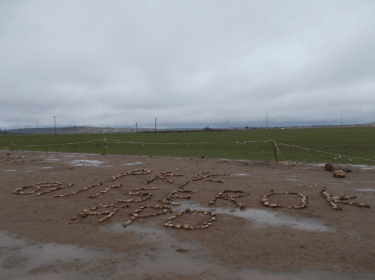 rojava4