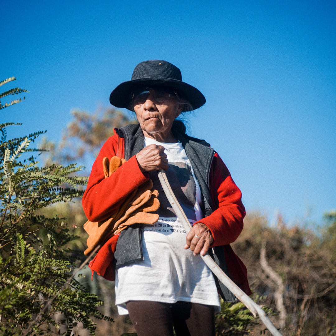 Fotografía Jorge Luis Linares