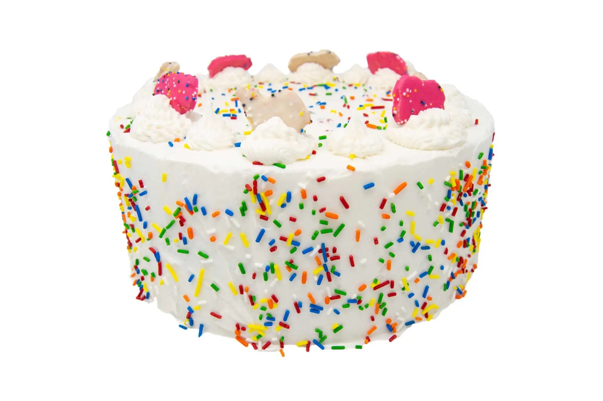 Birthday Cake Pic 2 Scaled