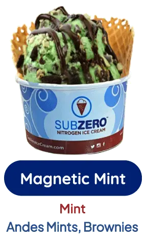 Magnetic Mint ice cream with mint, cookie dough, sprinkles, and fudge