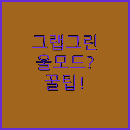 울모드에서 녹지 않는다는 그랩그린 캡슐세제 숨겨진 주의사항 알고 쓰자