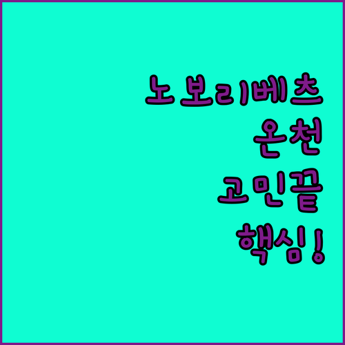 노보리베츠 온천 리조트 vs 료칸 vs 게스트하우스, 당신의 선택은?