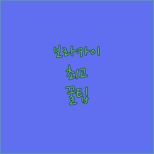 보라카이 프리미엄 리조트 3곳 심층 비교! 가족부터 커플까지 딱 맞는 선택은?