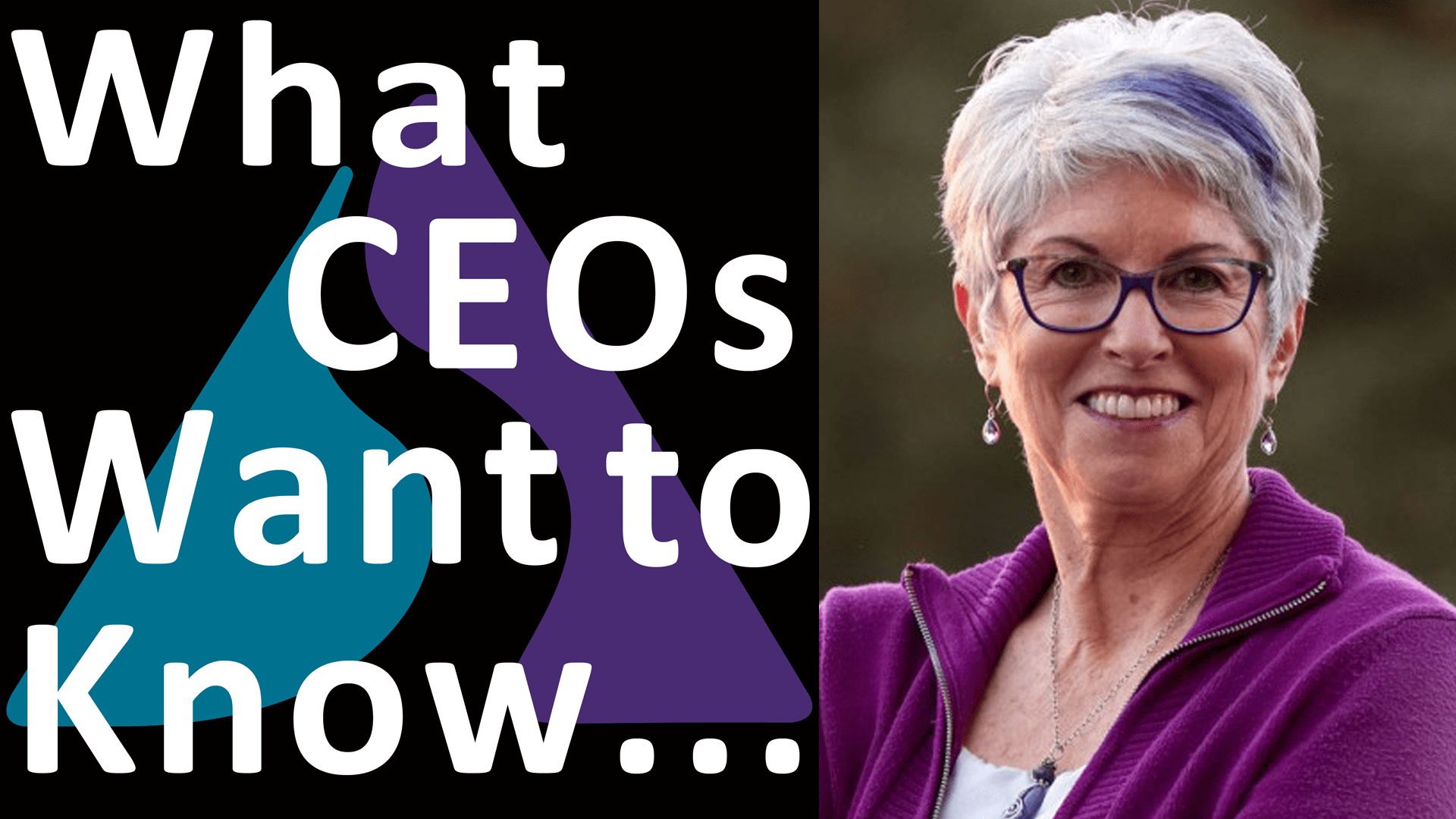 What CEOs Want to Know