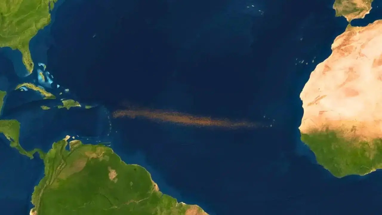 Great Atlantic Sargassum Belt