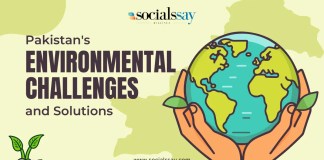 Pakistan’s Environmental Challenges and Solutions: A Comprehensive Guide Pakistan's Environmental Challenges and Solutions banner