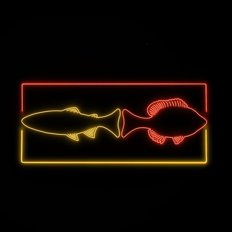 two colorful fish logo