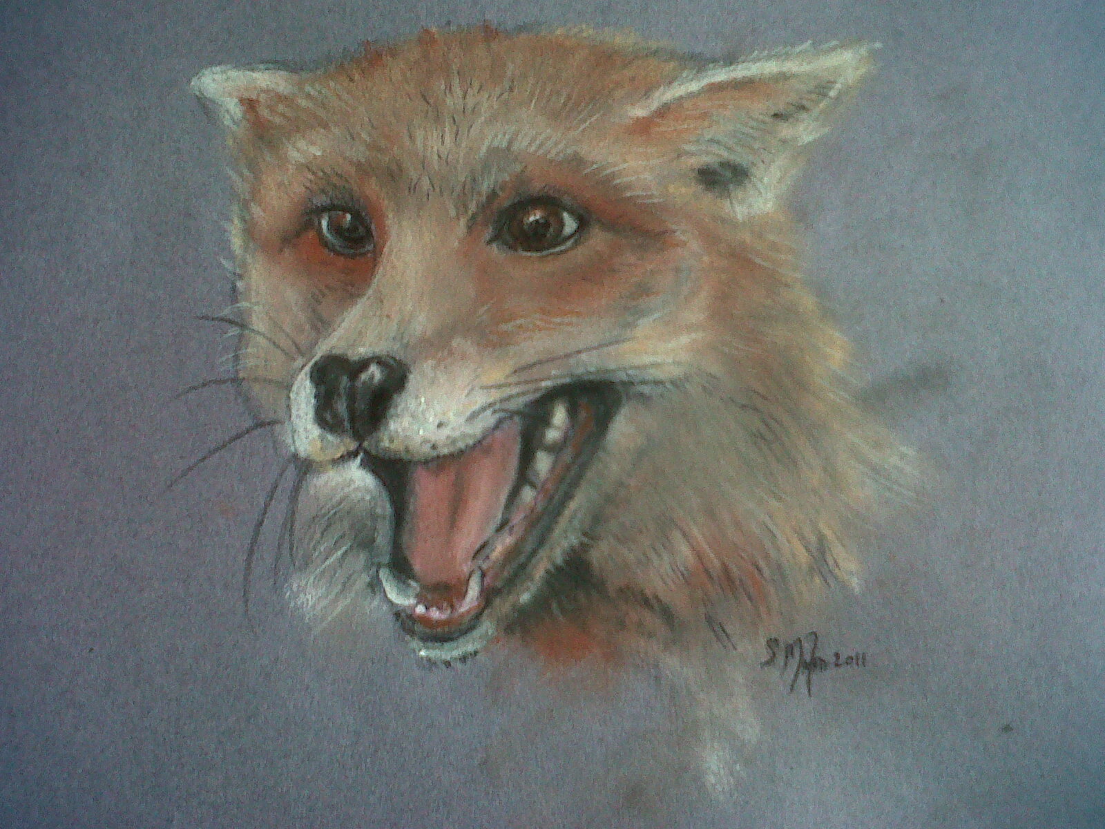 Fox