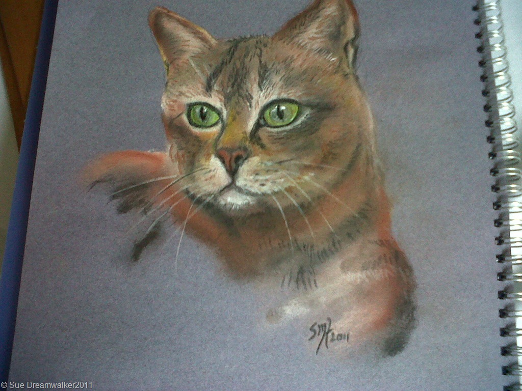 Cat in Pastels