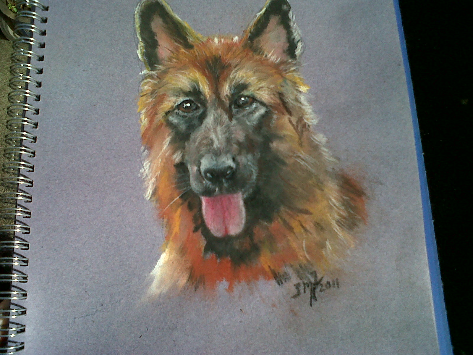 German Shepherd