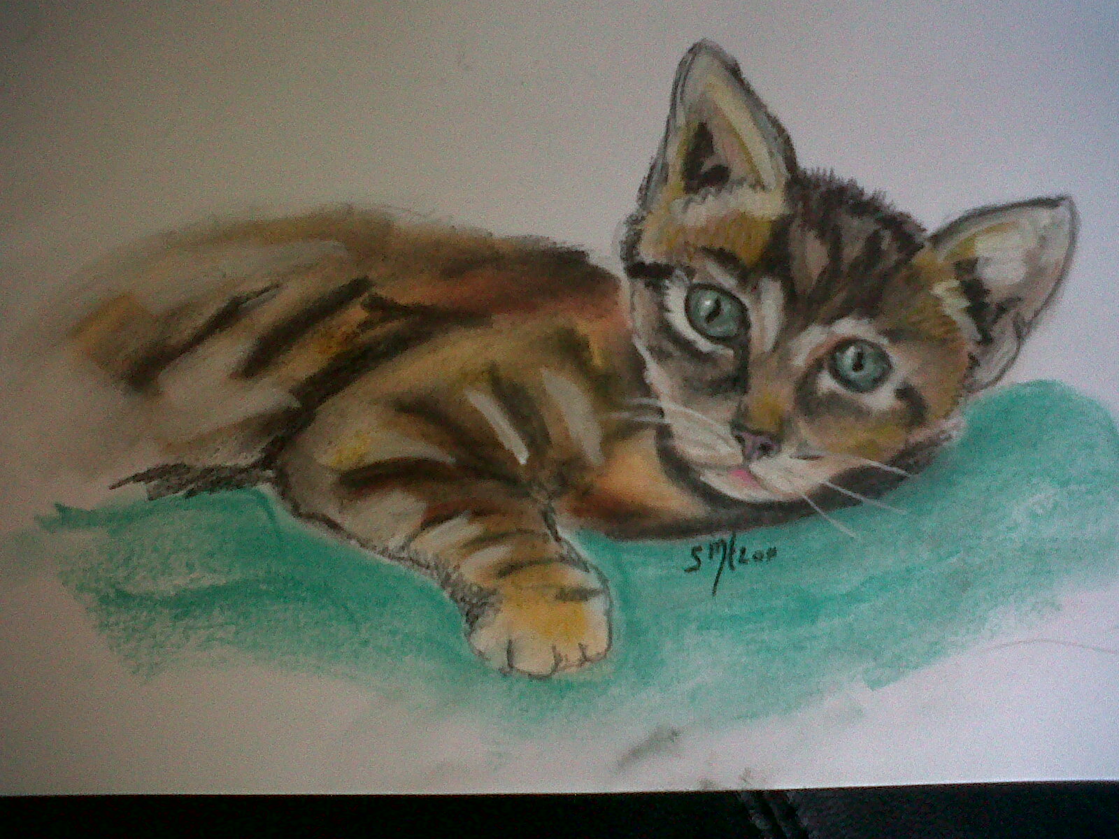 Kitten in Pastel