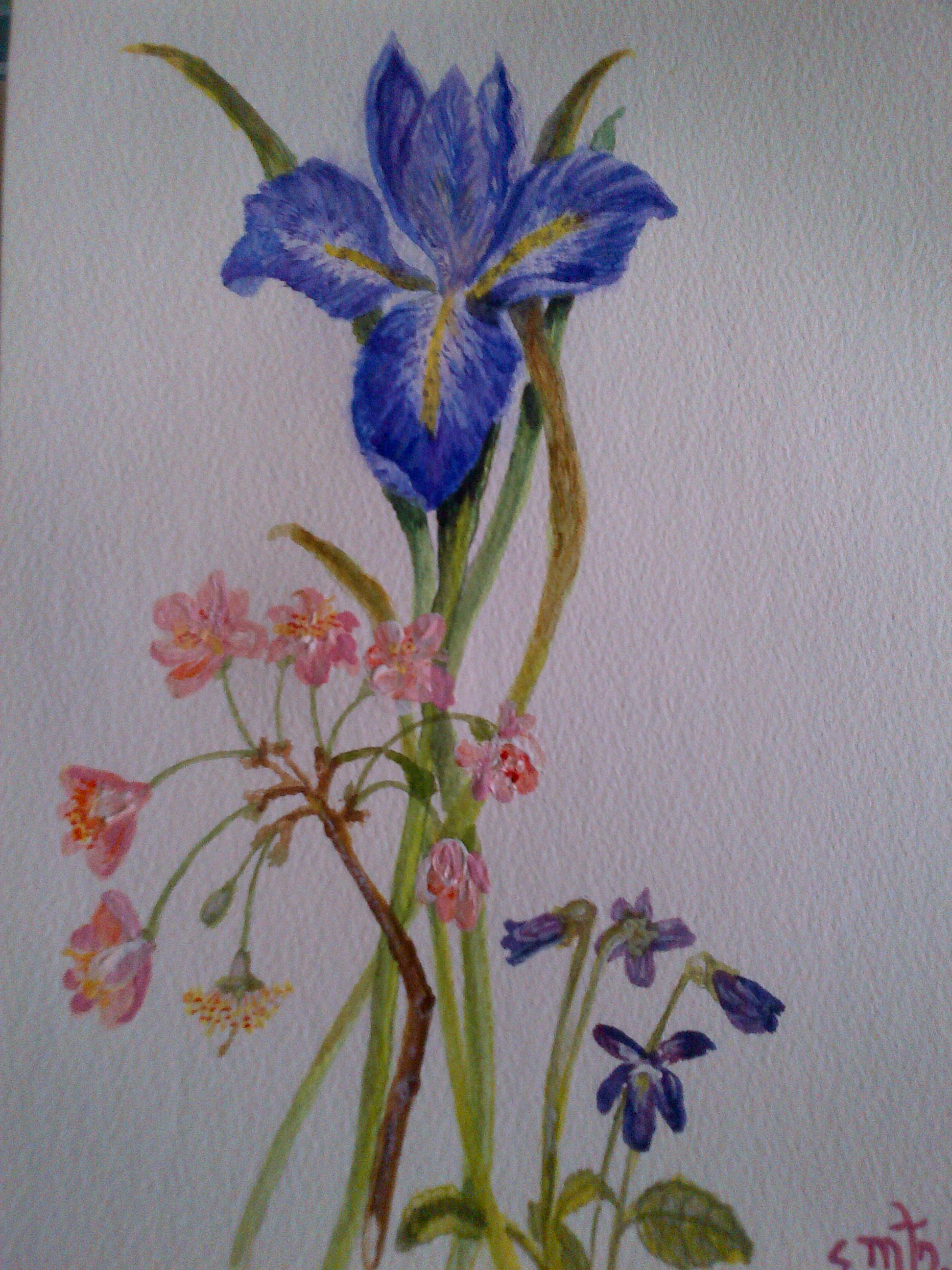 Iris with Blossom and Violets