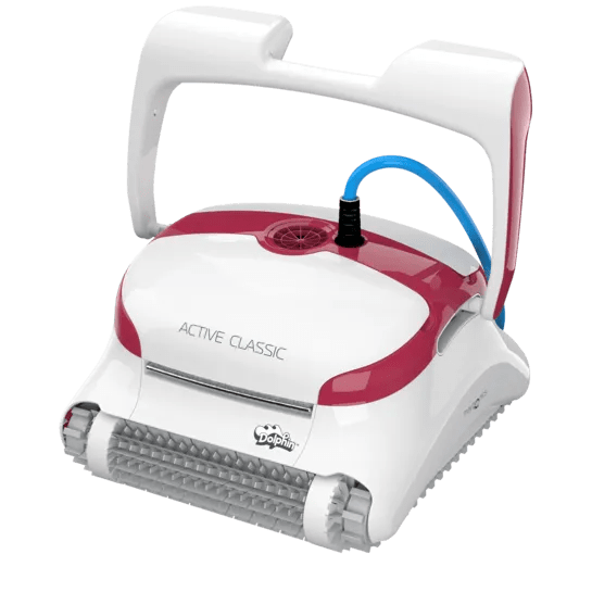active classic dolphin