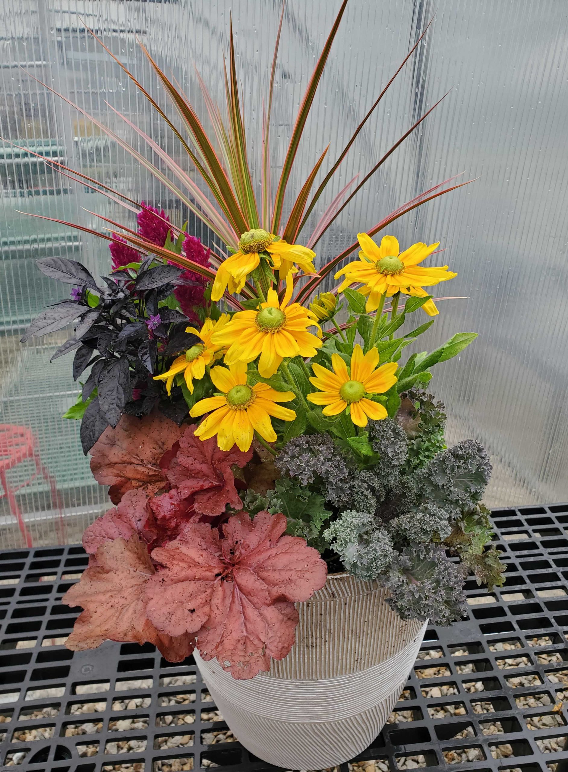 Sugar Creek Gardens | Plant Nursery for Missouri & IllinoisHow to ...