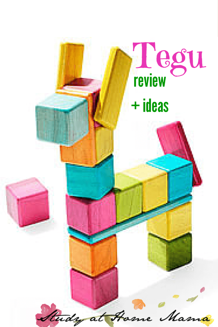 Tegu Blocks Review Ideas Sugar Spice And Glitter
